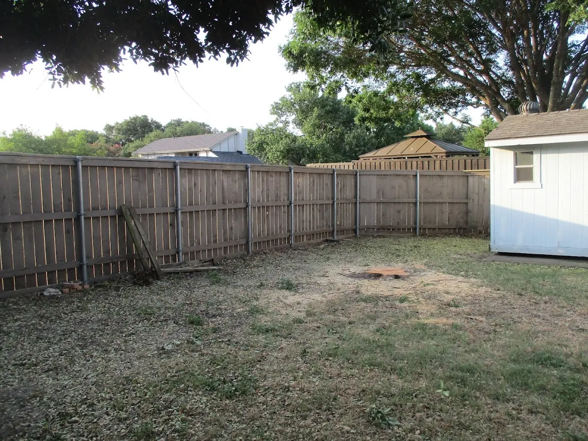 Cleared yard after professional tree removal in Spruce Creek